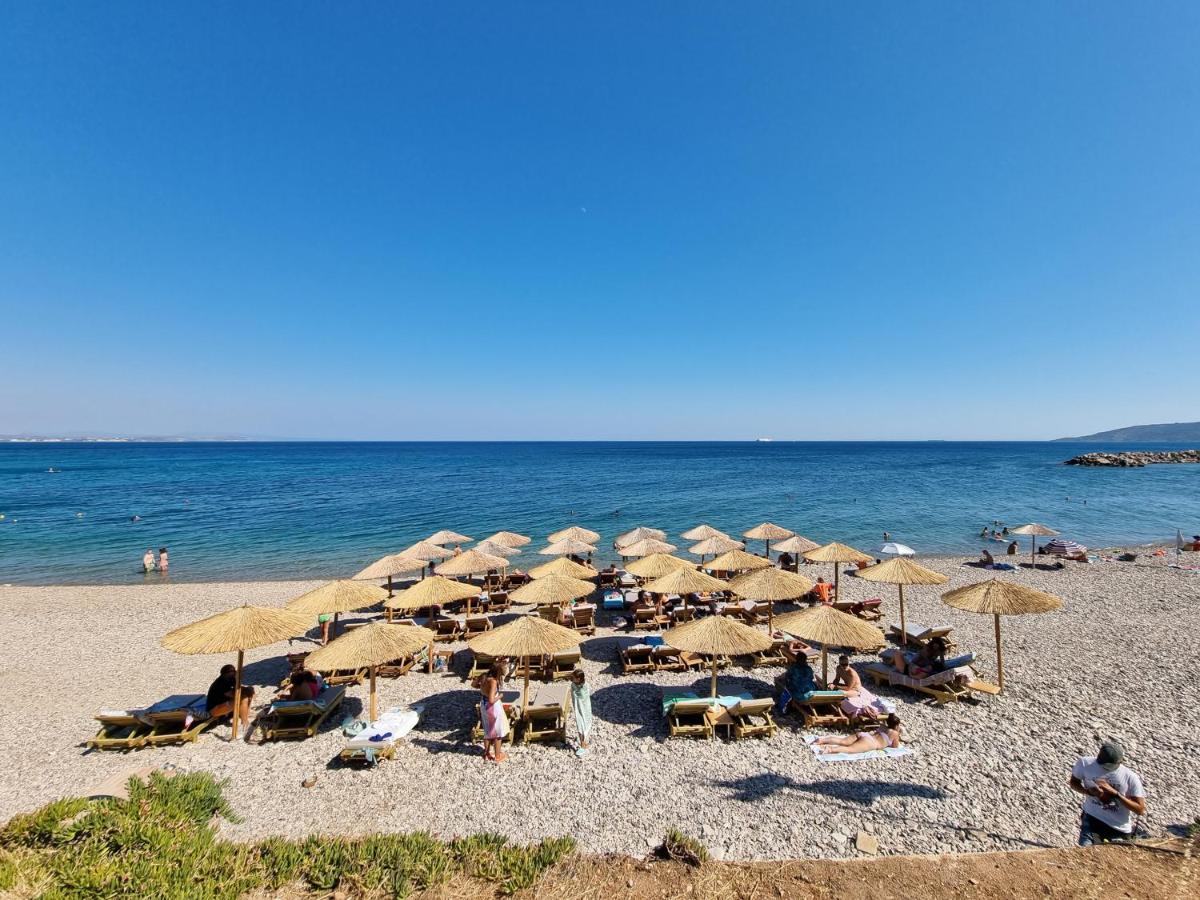 Ilioxenia Chios Studios & Apartments Paralia Agias Foteinis Экстерьер фото